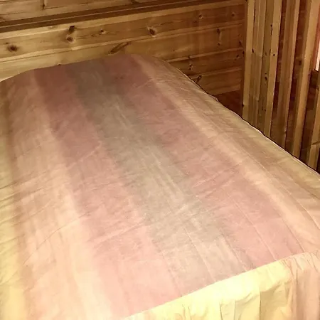 Chalet Petajalinna. The Lake House. Jämsä
